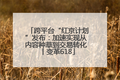 跨平台“红京计划”发布：加速实现从内容种草到交易转化丨变革618